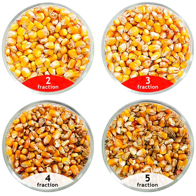 Corn seeds treated by the separator SAD treatment of maize