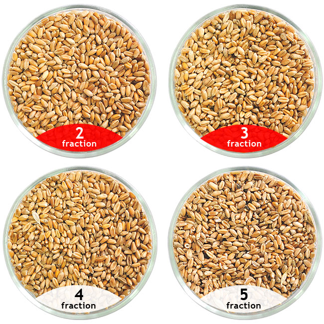 Calibration of wheat, wheat cleaning separator CAD