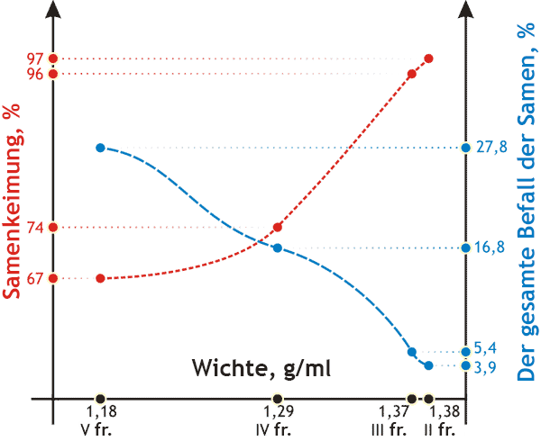 Die Qualität von Saatgut für Winterweizen