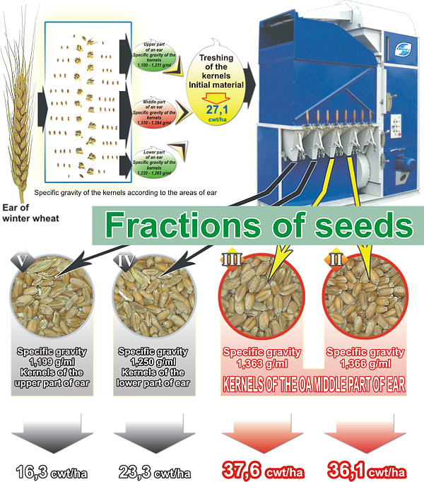 Technology of receipt of hight-yield seeds