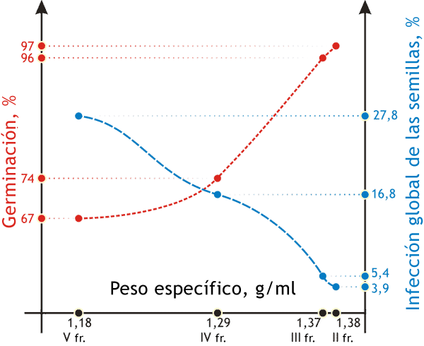 Índices de siembra y fitosanitarios de las semillas de trigo