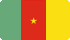 Flag Cameroon