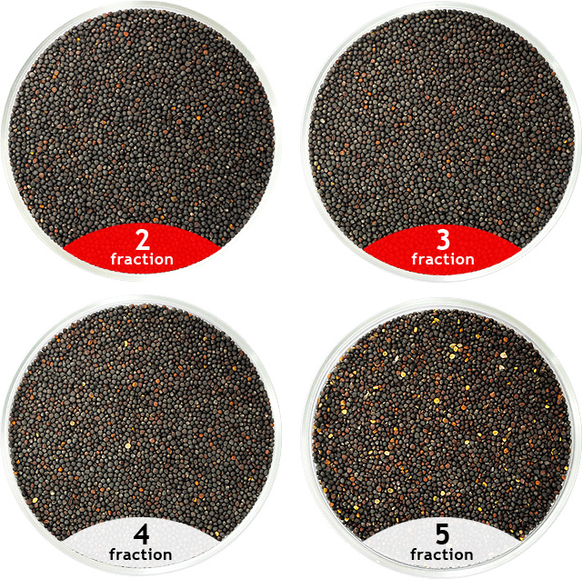 Rape, rapeseeds treated in a separator CAD treatment of rape