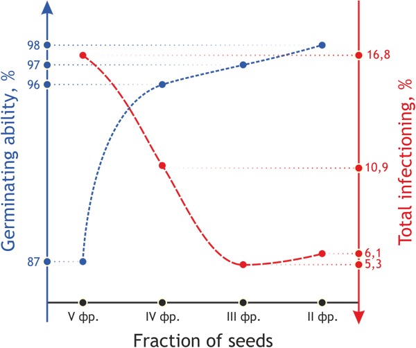 Diagram of rice