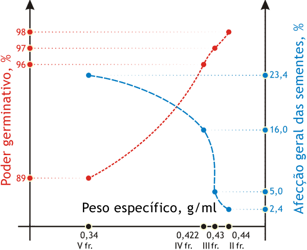 Indicadores da qualidade das sementes do girassol